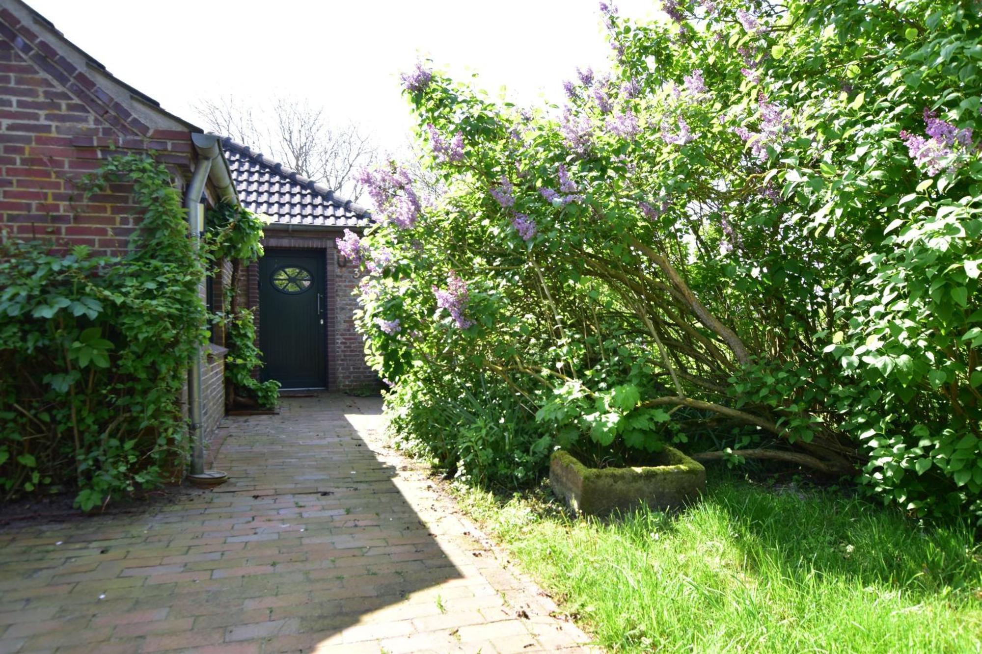 Haus Kuestersmatt Am Deich - Minsen Extérieur photo